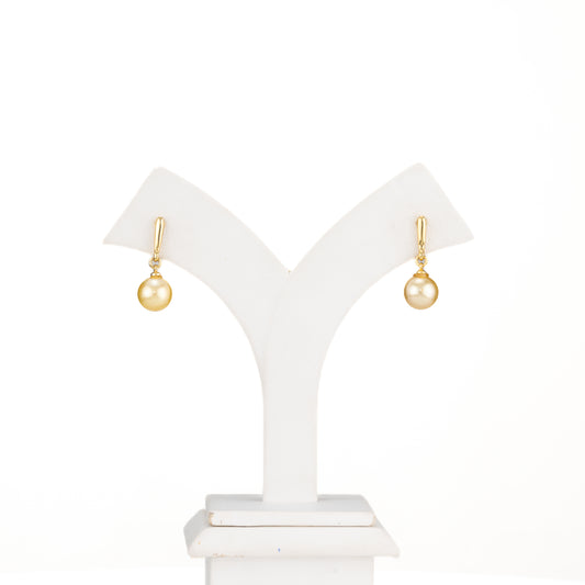 12.0-13.0mm Golden Round South Sea Hanging Pearl Earring