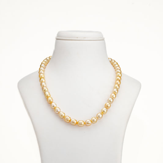 9.0-10.0mm Golden Drop Ringed South Sea Pearl Necklace Set - A Quality