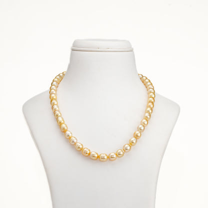 9.0-10.0mm Golden Drop Ringed South Sea Pearl Necklace Set - A Quality