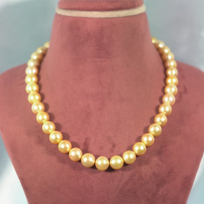 12.0-13.0mm Golden Round South Sea Pearls Necklace Set - AAA Quality